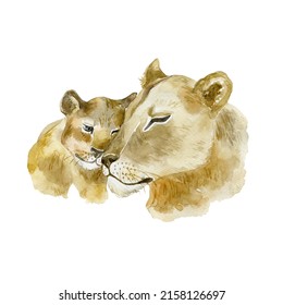 Lioness With Lion Cub On White Background. Wild Animal. Watercolor Illustration.