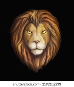 Lion's realistic head digital art painting  lion's head in front black background  Drawing the good lion  The leo looks straight ahead  