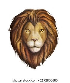 Lion's realistic head digital art painting  lion's head in front white background  Drawing the good lion  The leo looks straight ahead  