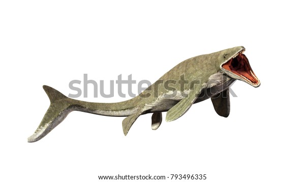 絶滅した大きな水生トカゲのリオプルーロドン 白い背景に3dイラスト のイラスト素材