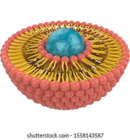 Liposome Images, Stock Photos & Vectors | Shutterstock