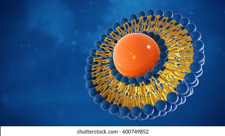 Liposomenstruktur 3d-Darstellung auf blauem Hintergrund
