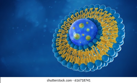 3D-Darstellung von Liposom-Strukturen
