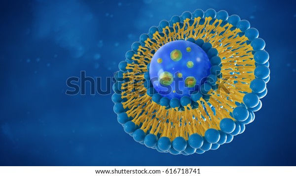 Liposome Structure Cell 3d Rendering Stock Illustration 616718741