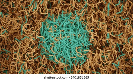 Liquid-Liquid phase separation (LLPS) 3D molecular view Droplet formation