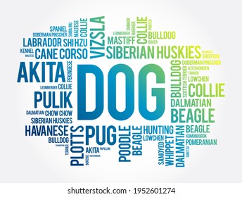 List Of Most Popular Dog Breeds Word Cloud Collage, Animal Concept Background