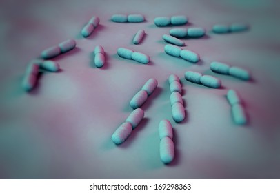 Listeria Bacteria