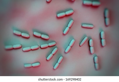 Listeria Bacteria