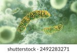 Listeria monocytogenes bacteria, a genus of gram-positive, rod-shaped bacteria, parasites in mammals. Listeria monocytogenes bacterium, human pathogens, bacterial disease, listeriosis infection, 3D