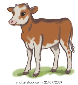 Little Cute Baby Calf Illustration For Children