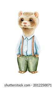 Little cute ferret animal in pants and shirt isolated on white background. Watercolor hand drawn illustration sketch