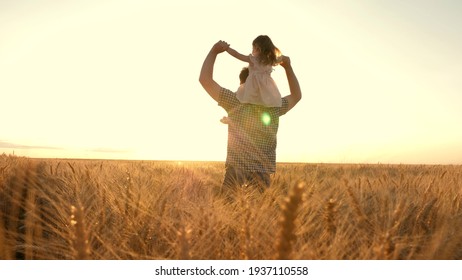 Little daughter plays on shoulders of farmers father in wheat field. Happy child and father are playing together in open air. Kid and daddy are traveling. Baby, parent in nature. Family, childhood - Powered by Shutterstock