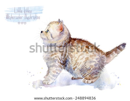 Little fluffy kitten  Spotted cat. Watercolor illustration of pet. View from the side.