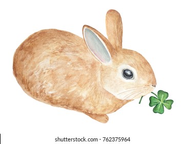 Little fluffy pet rabbit carring a green four leafed clover sprout. Symbol of good luck, sweet hello, tenderness, forest, welcome spring, summer. Hand drawn watercolour, isolated on white background. - Powered by Shutterstock - Get 15% off with code: PIKWIZARD15