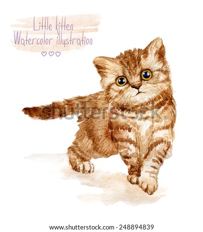 Little fluffy red kitten  Spotted cat. Watercolor illustration of pet.