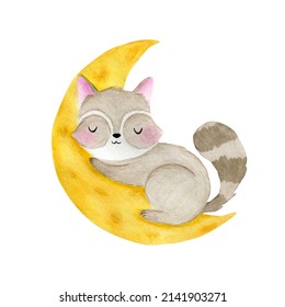 A little gray raccoon sleeps on a yellow moon. Watercolor illustration of a wild animal. Children's room decoration.
