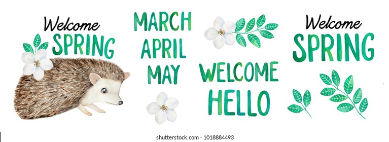 Little Hedge Welcome Spring Collection. Lovely character, bloomy plant grass decor and handwritten seasonal inscriptions. Hand drawn water color graphic clip art painting on white background, cutout.
