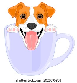 Little Jack Russell Sit In Cup