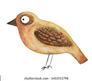 Little Lark Bird. Colorful Hand-drawn Stock Illustration, Painted By Watercolor.  Isolated On The White Background. 