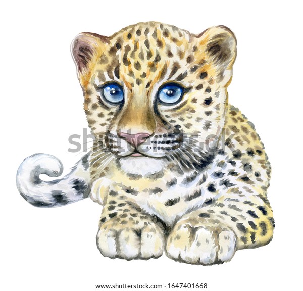 Petit Leopard Aux Yeux Bleus Portrait Illustration De Stock