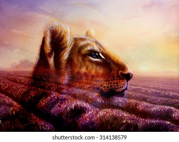 Little Lion Cub Head On Purple Lavender Fields. Animal Painting And Violet Flowers On Sunset