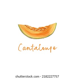 A Little Pastel Cantaloupe Icon