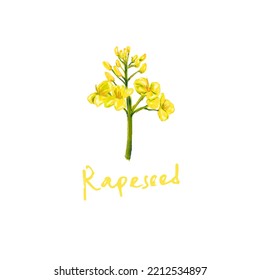 A Little Pastel Rapeseed Icon