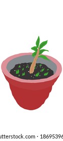 Little Plant On Pot Illustration .