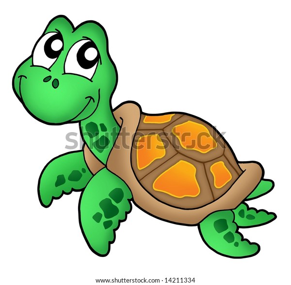 Little Sea Turtle Color Illustration Stock Illustration 14211334