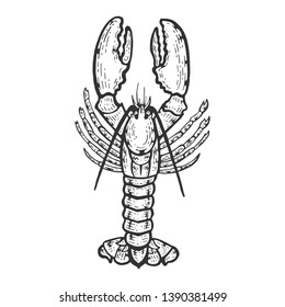 Lobster Hand Drawing Vintage Engraving Illustration Stock Vector ...