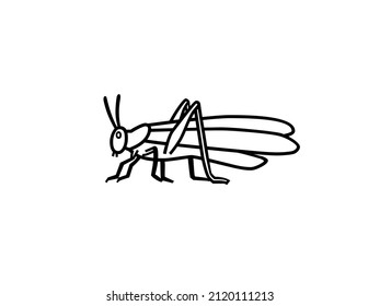 Locust insect shape, sketch, outline or drawing isolated on white background. 