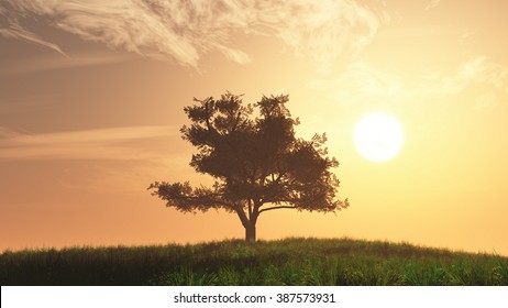 Lonely Tree on Summer Field in the Sunset Sunrise 3D Illustration - Powered by Shutterstock