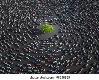 lonely tree surrounded by cars