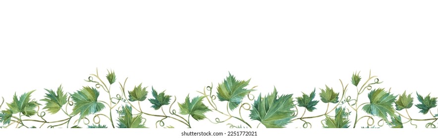 Long seamless border frame of fall grape vine leaves. Autumn foliage isolated on white background. Realistic watercolor hand painted illustration. White space for text