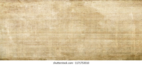 Long and wide background in horizontal position. Egyptian paper,papyrus texture of yellow-brown light old paint that is old and has a fine patina.From Mediterranean region. 