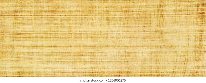 Long and wide background in horizontal position.Papirus texture. Yellow-brown light Egyptian paper from mediteranean region.High qualiti texture.