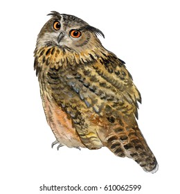 Long-eared Owl.  Watercolor illustration background for the holiday Halloween. 