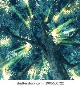 木 見上げる のイラスト素材 画像 ベクター画像 Shutterstock