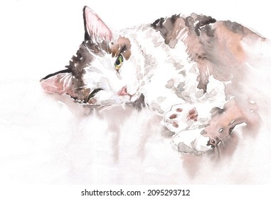 Loose watercolor painting of sleepy cacico cat. 