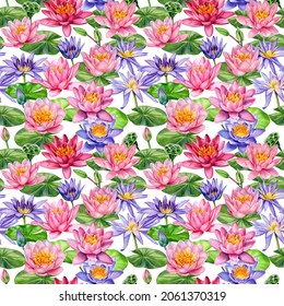 Lotus, beautiful flowers, hand drawn watercolor painting, seamless pattern