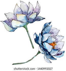 Dessin Fleur De Lotus Images Stock Photos Vectors