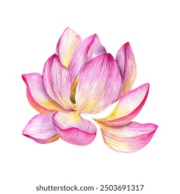 Lotus flower blooming watercolor illustration. Hand drawn pink water lily blossom floral clip art, zen and meditation symbol for spa salon, yoga center design. Label, logo for women care center - Powered by Shutterstock