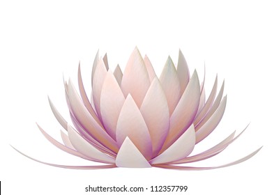 Lotus Flower On A White Background