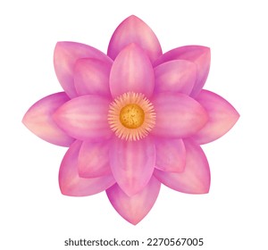 Lotus flower vintage pink purple watercolor painting clipart isolated background