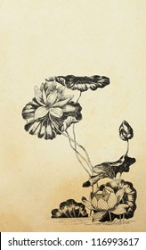 Lotus Flowers In Art Nouveau Style On Old Paper