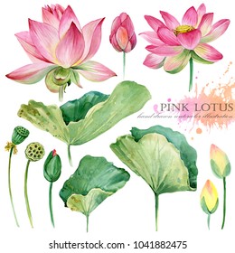 lotus flowers and leaves hand drawn watercolor set