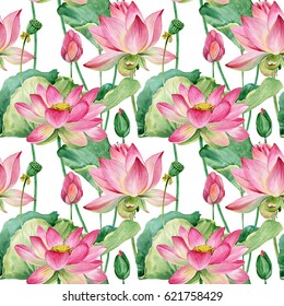 lotus flowers seamless pattern  watercolor botanical illustration 