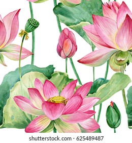 lotus flowers seamless pattern. watercolor botanical illustration.