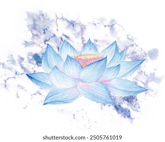 Lotus flowers,leaves,seeds. Hand drawn watercolor illustration of pink water lily,green leaves and seeds.Botanical drawing.Set with lotuses for design. - Powered by Shutterstock