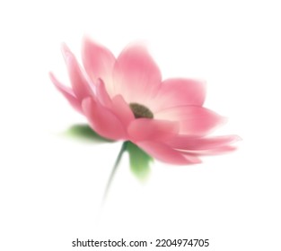 Lotus, Isolated On White Background, 3d Illustration, 3d Rendering, Realism, Photo Realistic